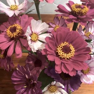 Meet your Posher, Suzanne